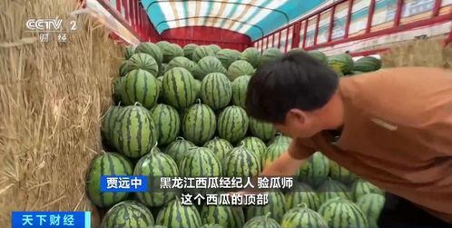 f5吃瓜,揭秘娱乐圈的瓜田秘事