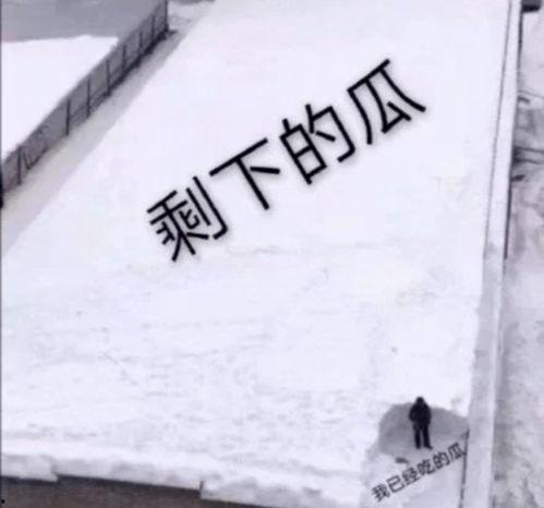 慎独吃瓜,揭秘网络时代的独立思考与理性围观